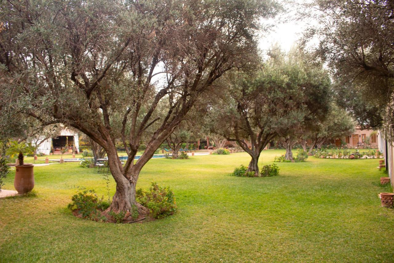 Greenlife Marrakech Μαρακές Εξωτερικό φωτογραφία